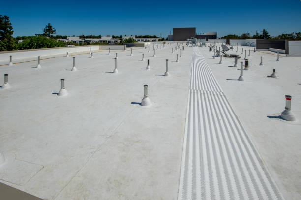 Best Roof Coating and Sealing  in North Fort Lewis, WA